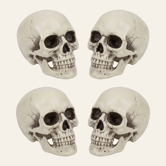 Kleine decoratieve schedel voor halloween