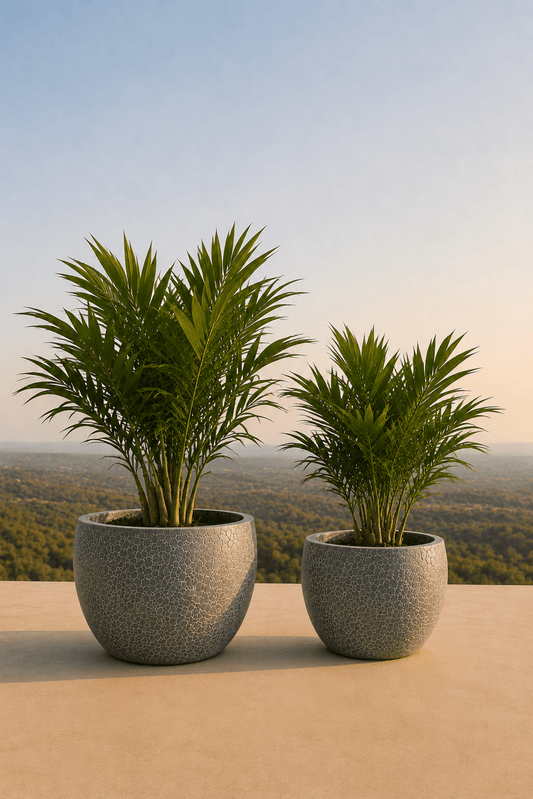 Twee handgemaakte keramische Lipari plantenpotten in Relic Jade met palmen op een terras en dieptezicht op een veld
