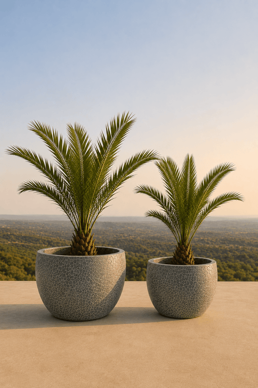 Twee handgemaakte keramische Lipari plantenpotten in Relic Jade met palmvarens op een terras en dieptezicht op een veld
