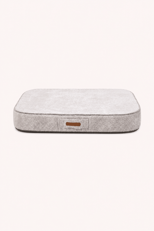 Merlin beige orthopedisch hondenmatras op legale achtergrond kleur
