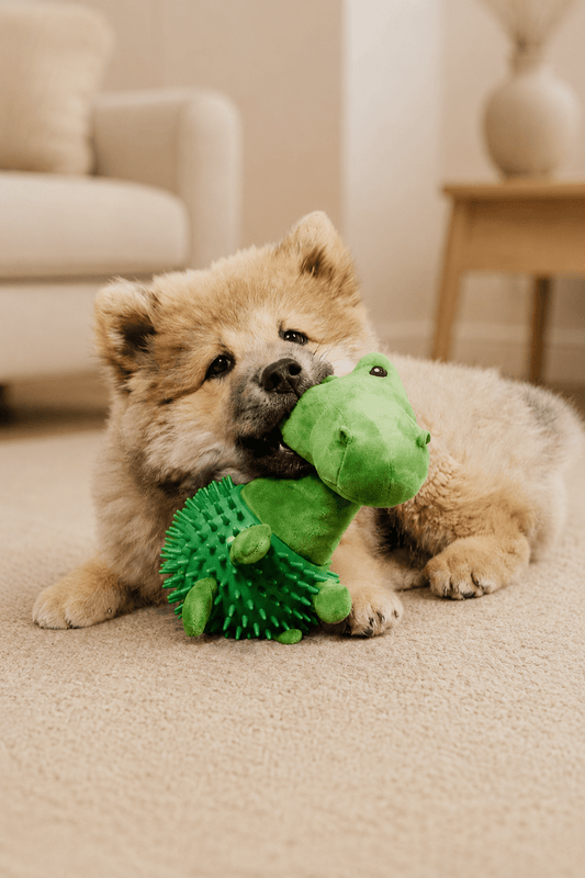 Neandno pluche dino met pieper voor tandverzorging