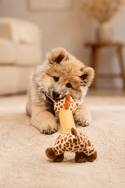 Neandno pluche giraffe met pieper voor tandverzorging