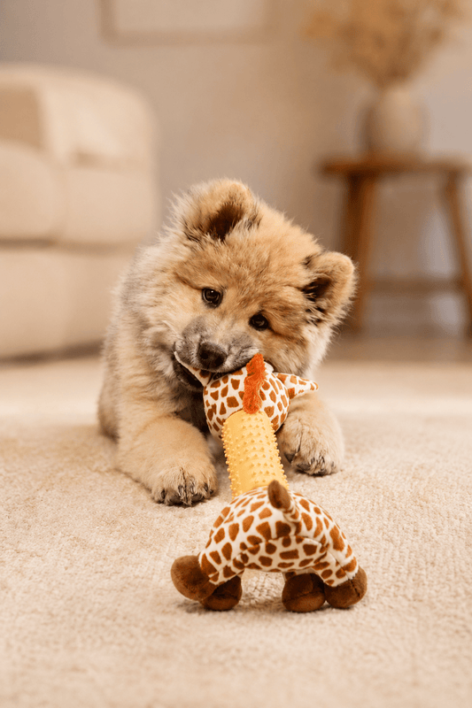 Neandno pluche giraffe met pieper voor tandverzorging