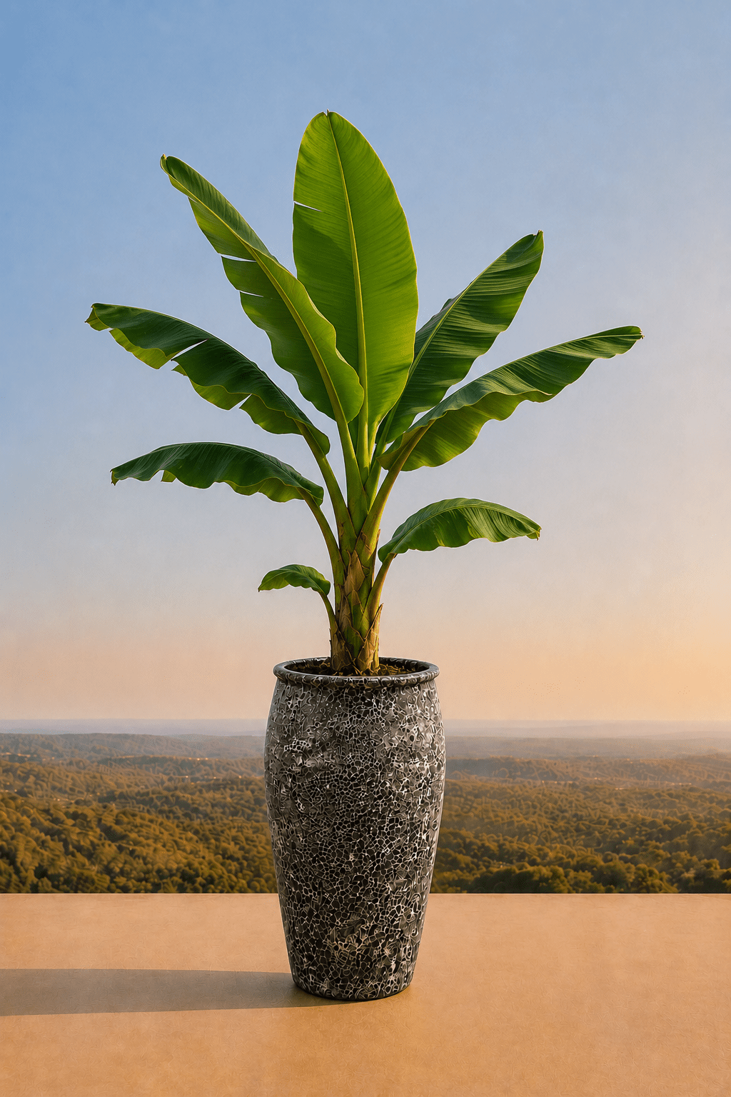 Handgemaakte keramische Panarea plantenpot in Oceanic Coral met bananenplant op een terras en dieptezicht op een heuvelachtig veld
