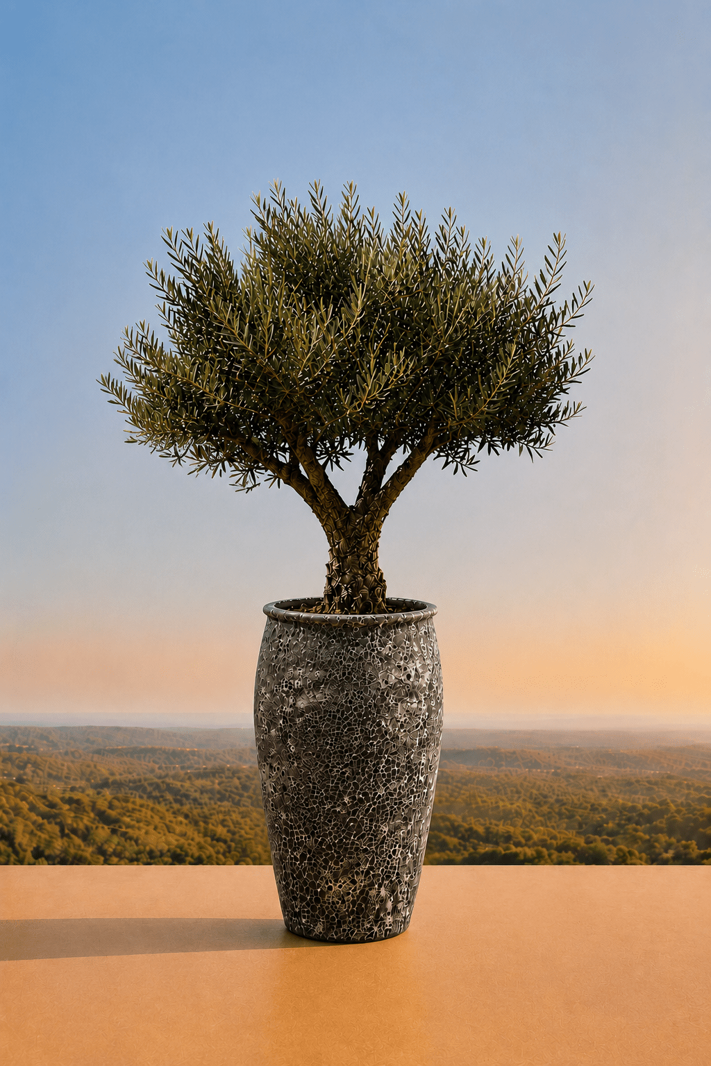 Handgemaakte keramische Panarea plantenpot in Relic Black met olijfboom op een terras en dieptezicht op een heuvelachtig veld