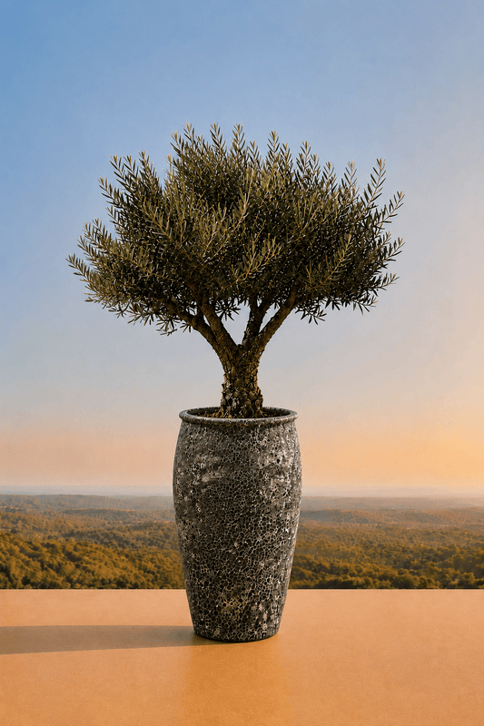 Handgemaakte keramische Panarea plantenpot in Relic Black met olijfboom op een terras en dieptezicht op een heuvelachtig veld