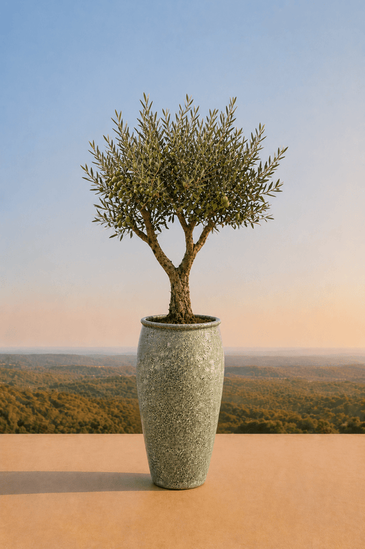 Handgemaakte keramische Panarea plantenpot in Relic Jade met sierboom op een terras en dieptezicht op een heuvelachtig veld
