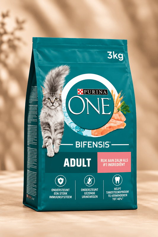 Purina ONE Adult kattenbrokken 3 kg in turquoise zak met grijze kat en roze zalmetikettering, voeding met zalm en volkoren granen.
