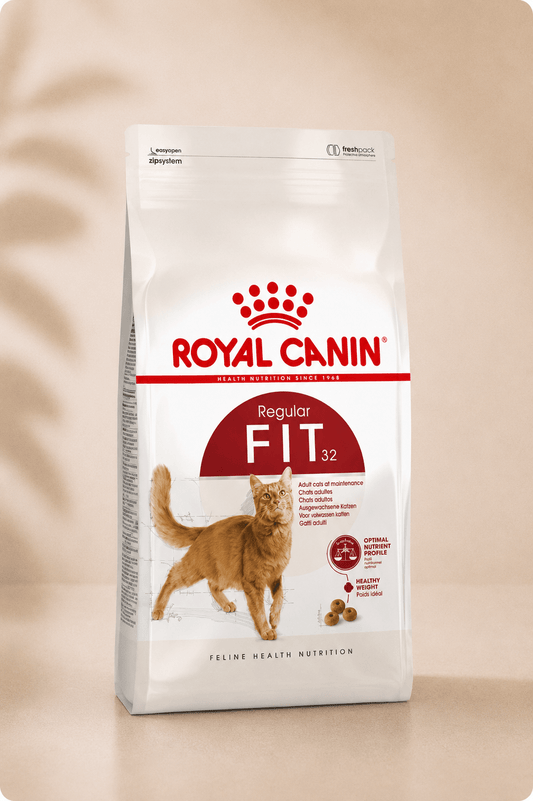 Royal Canin Fit kattenvoer 400g