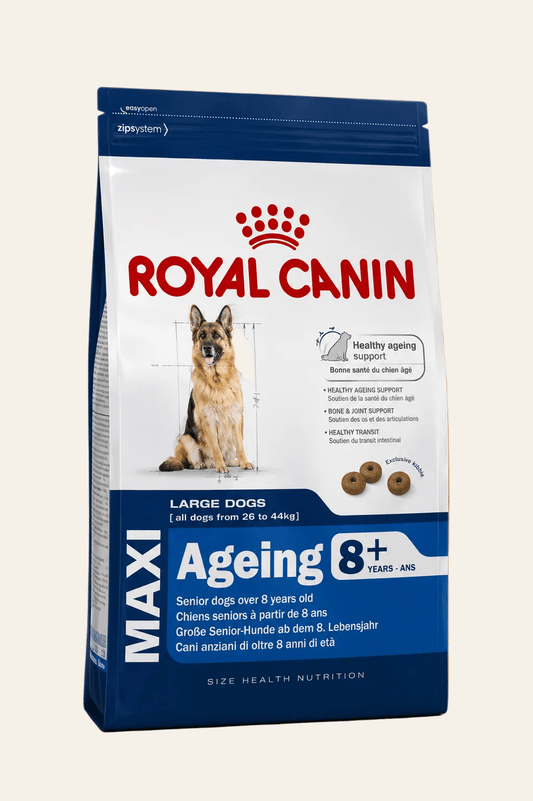Royal Canin hondenvoer voor grote oudere honden maxi ageing 8+ 3kg