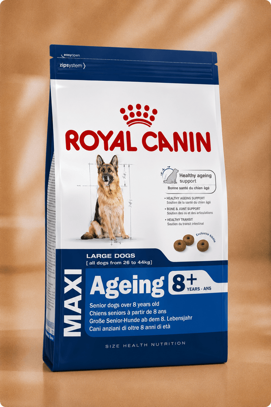Royal Canin hondenvoer voor grote oudere honden maxi ageing 8+ 3kg