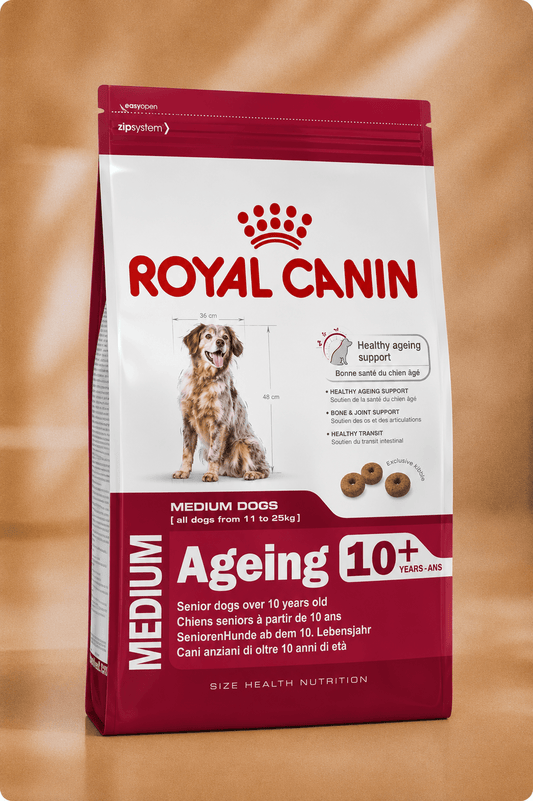 Royal Canin hondenvoer voor middelgrote oudere honden medium ageing 10+  3kg