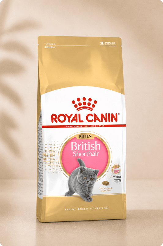 Royal Canin kattenvoer feline british shorthair kitten 400g