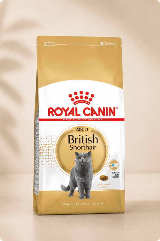 Royal Canin kattenvoer voor british shorthair adult 400g
