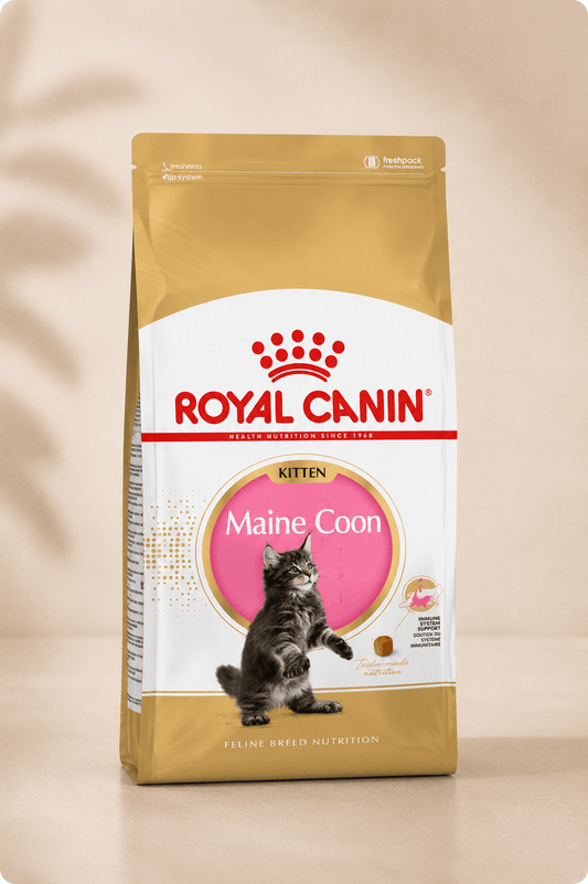 Royal Canin kattenvoer voor maine coon kittens 400g