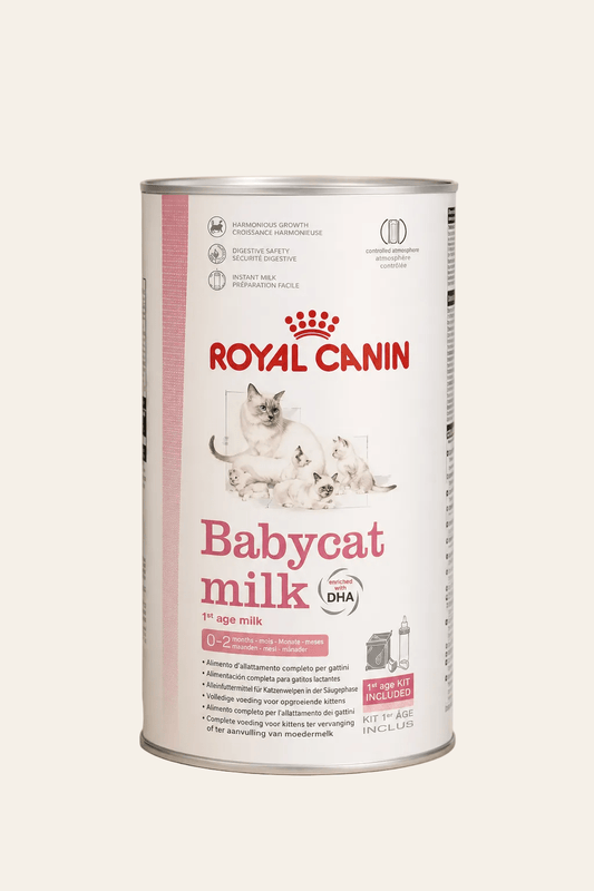 Royal canin babycat milk kunstmelk voor jonge kittens 300 g.