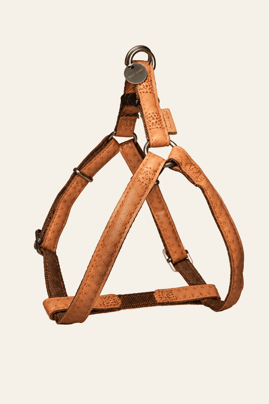 Zolux Mac Leather hondentuig bruin 20 mm × 50–75 cm van kunstleer met subtiel motief, metalen ringen, medaillon en kliksluiting op beige achtergrond.