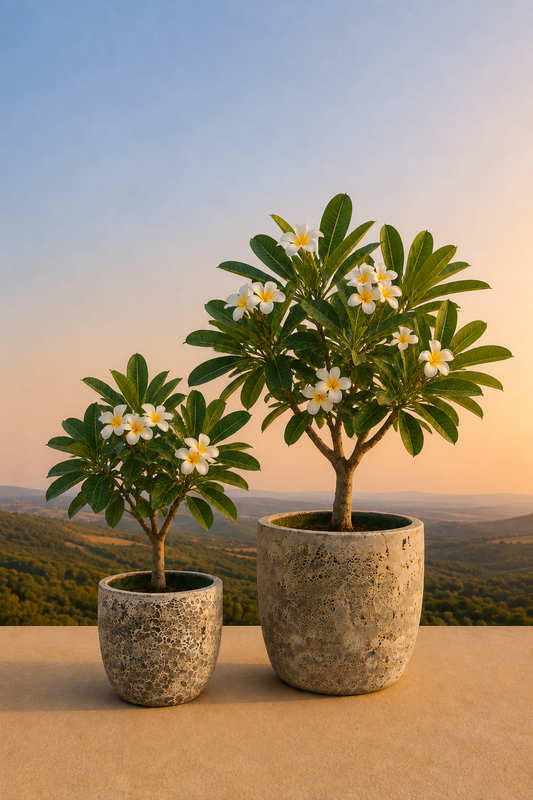 Indische laki plantenpot relic beige