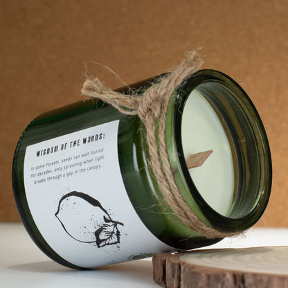 Greenman Woodwick Sojakerze – Zeder Zitrone